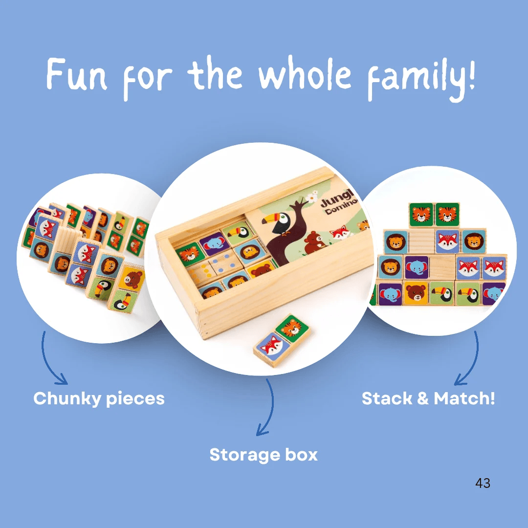 Wooden Logic Domino Learning Set